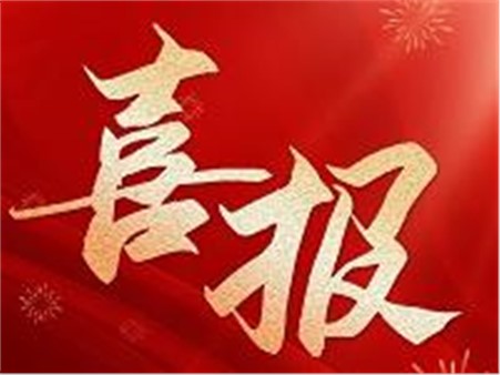 專精特新，鑄就行業(yè)"小巨人"！