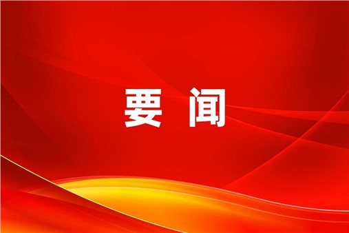 中國有色金屬工業(yè)協(xié)會副會長王健一行蒞臨方恒新材調研指導